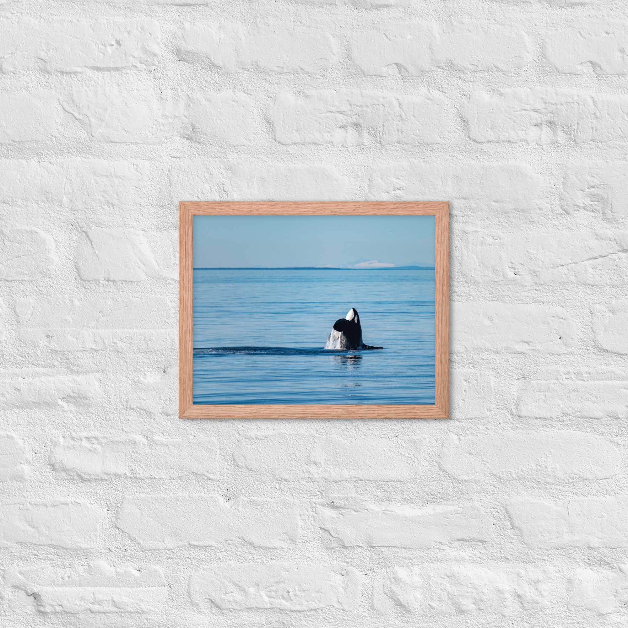 enhanced-matte-paper-framed-poster-(in)-red-oak-11x14-front-6380772a67bfa.jpg