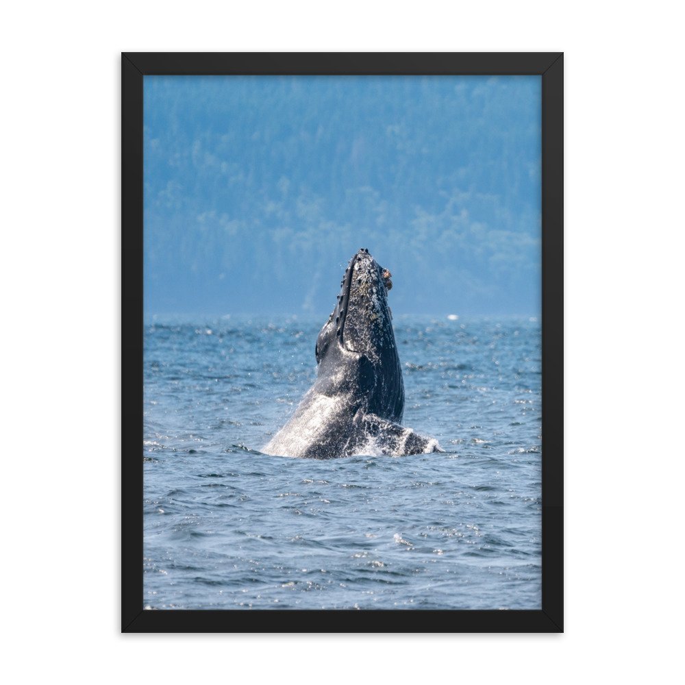enhanced-matte-paper-framed-poster-(in)-black-18x24-transparent-6380793da64bb.jpg
