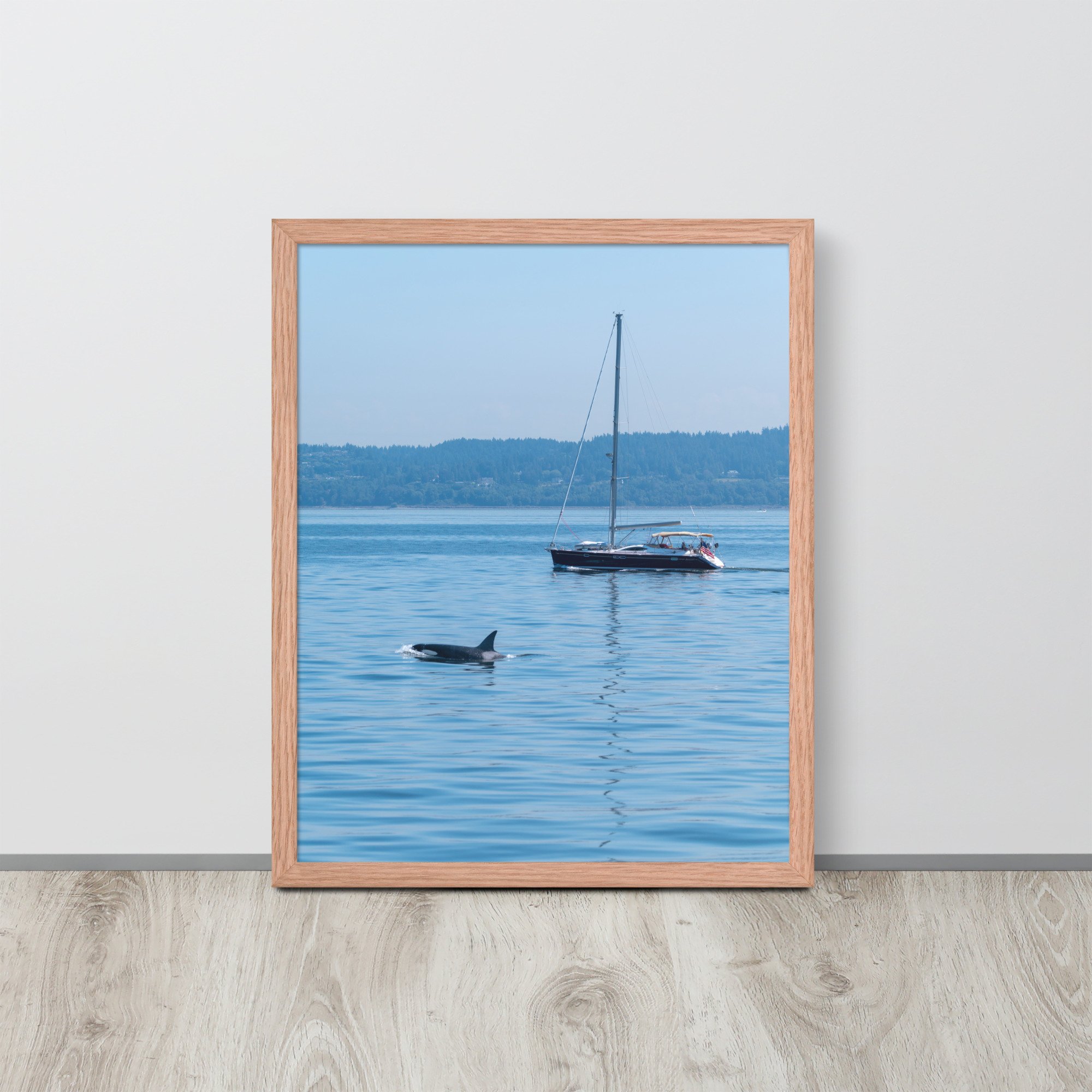 enhanced-matte-paper-framed-poster-(in)-red-oak-16x20-front-6380901ac600b.jpg