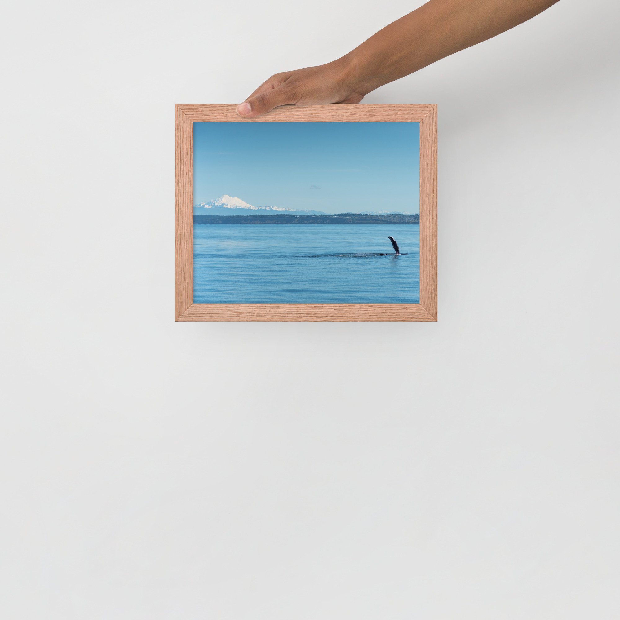 enhanced-matte-paper-framed-poster-(in)-red-oak-8x10-front-6380936d8c22d.jpg