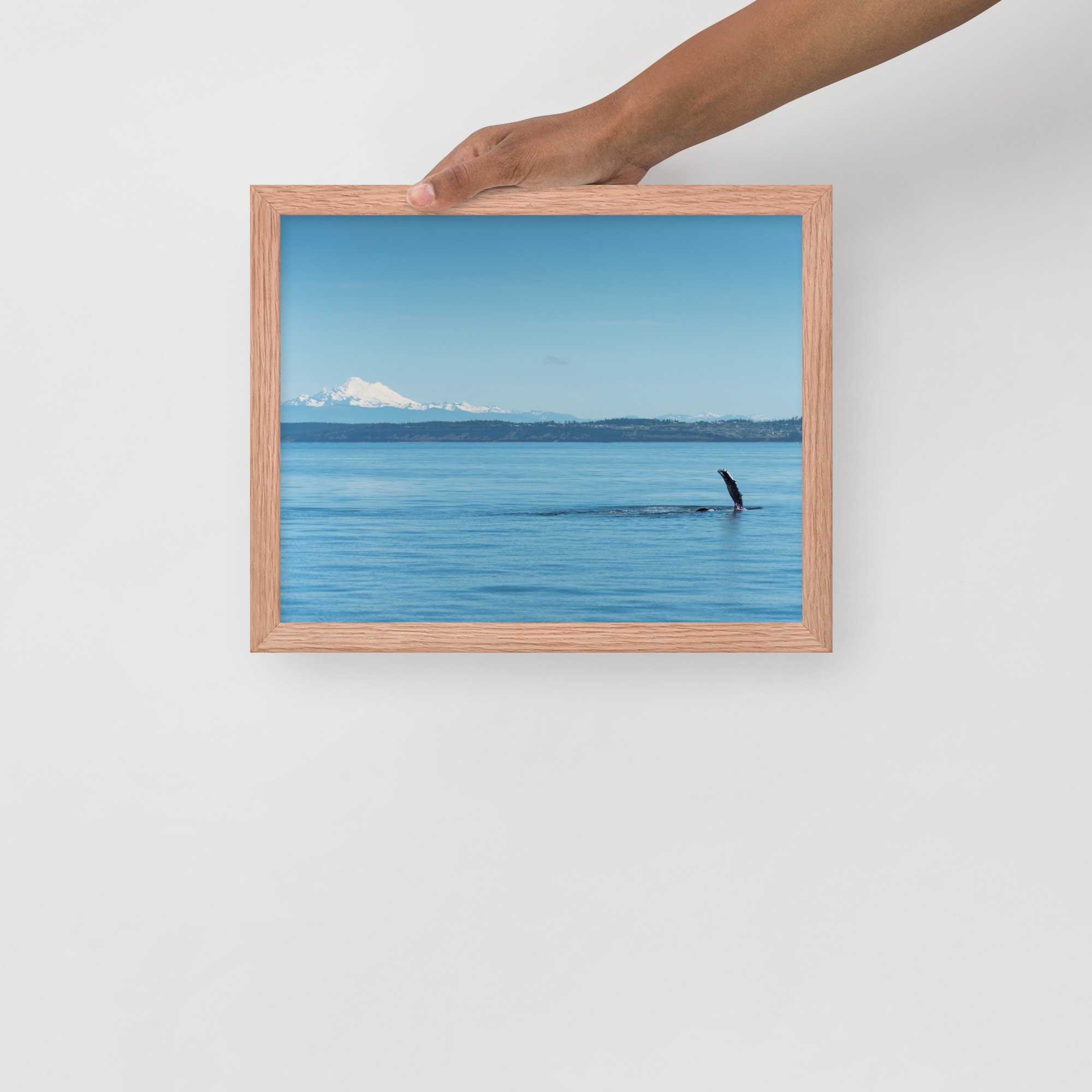 enhanced-matte-paper-framed-poster-(in)-red-oak-11x14-front-6380936d8c31a.jpg