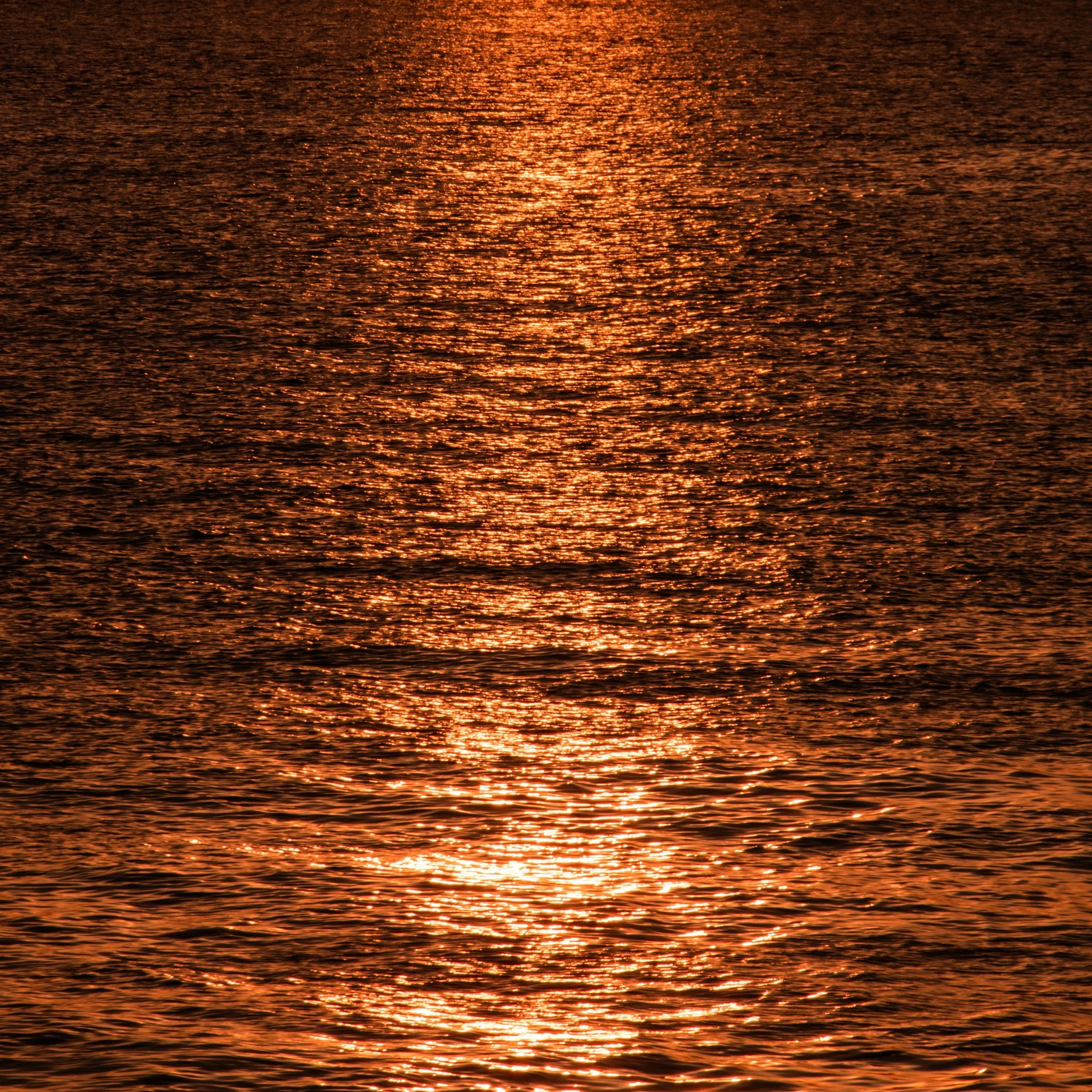 sacral chakra svadisthana