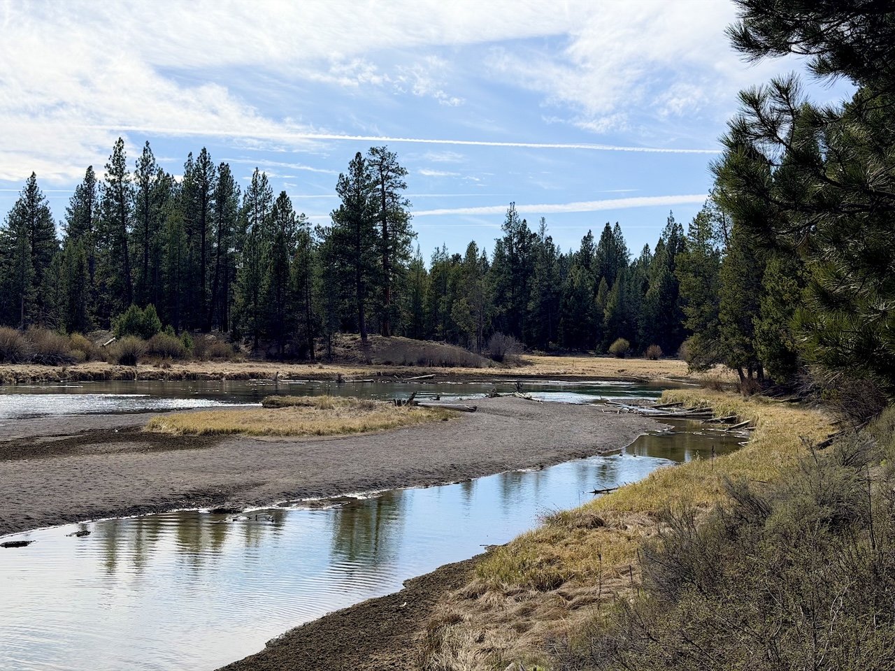 Boredom Breeds Creativity