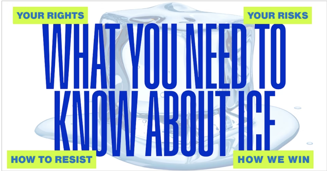 What You Need to Know About Ice (virtual)
