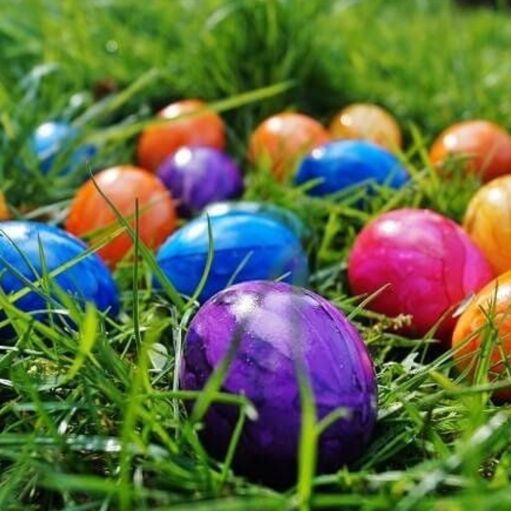 Easter Egg Hunt