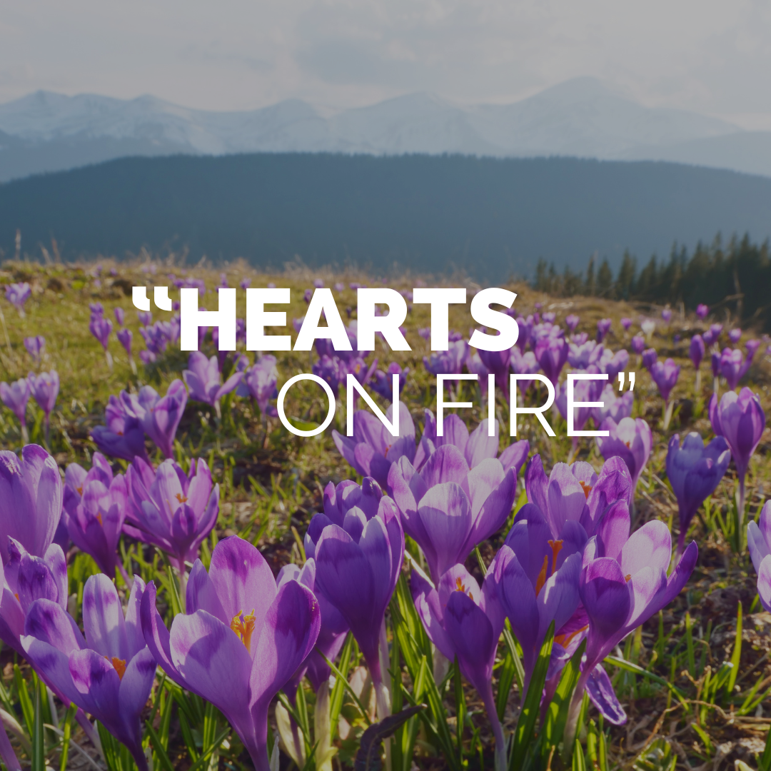 Third Sunday of Easter