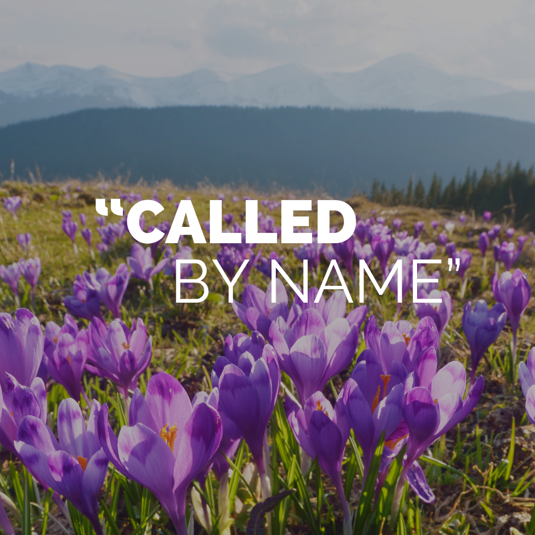 Fourth Sunday of Easter