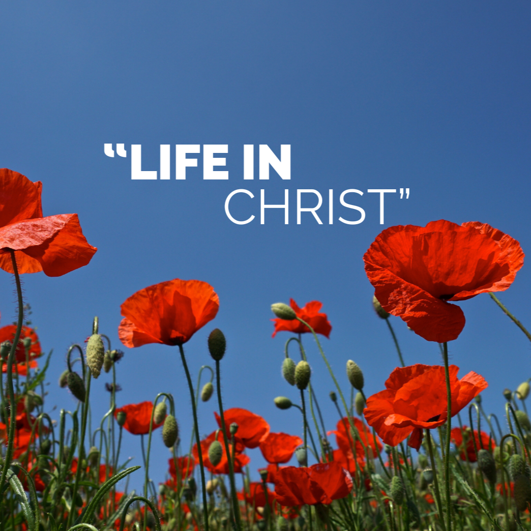 Fourth Sunday After Pentecost