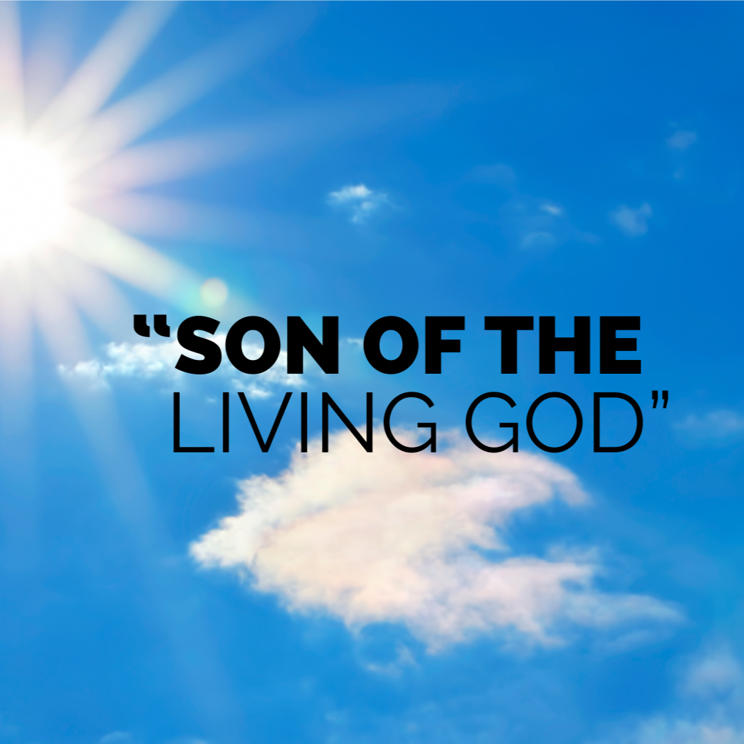 Thirteenth Sunday After Pentecost