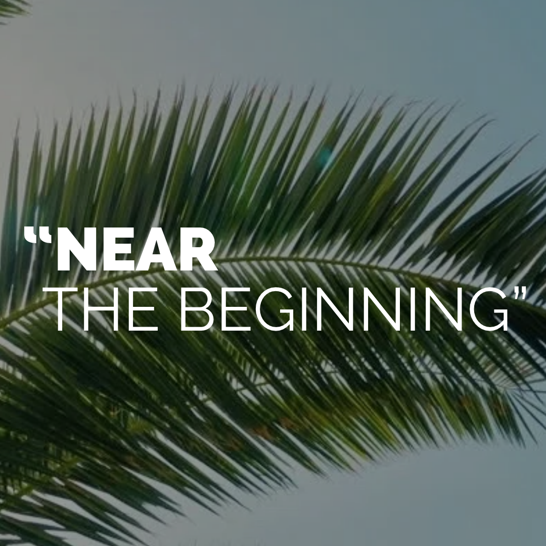 Palm Sunday