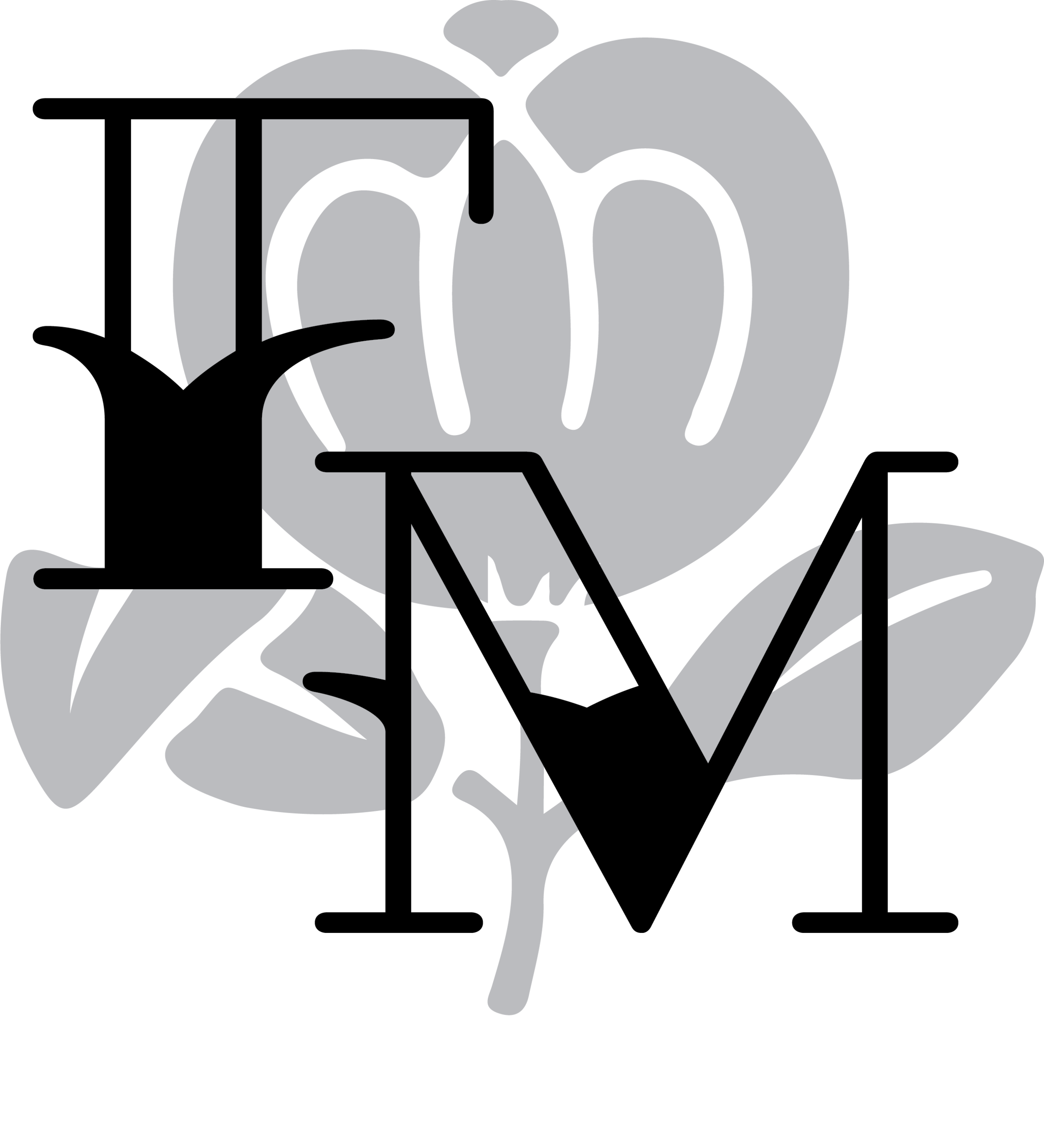 Asset 6.png