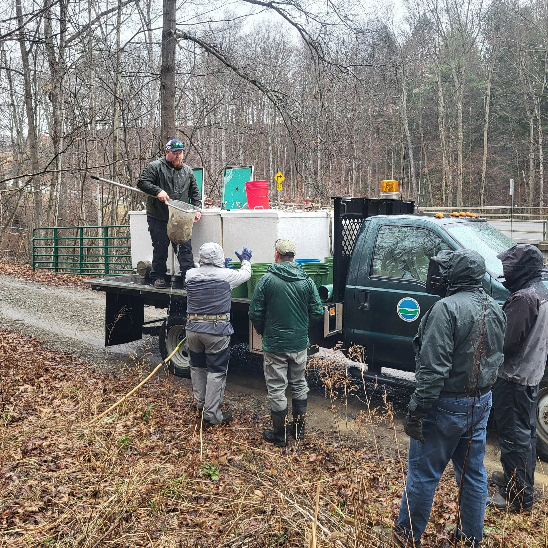 Trout Stocking and Clean up