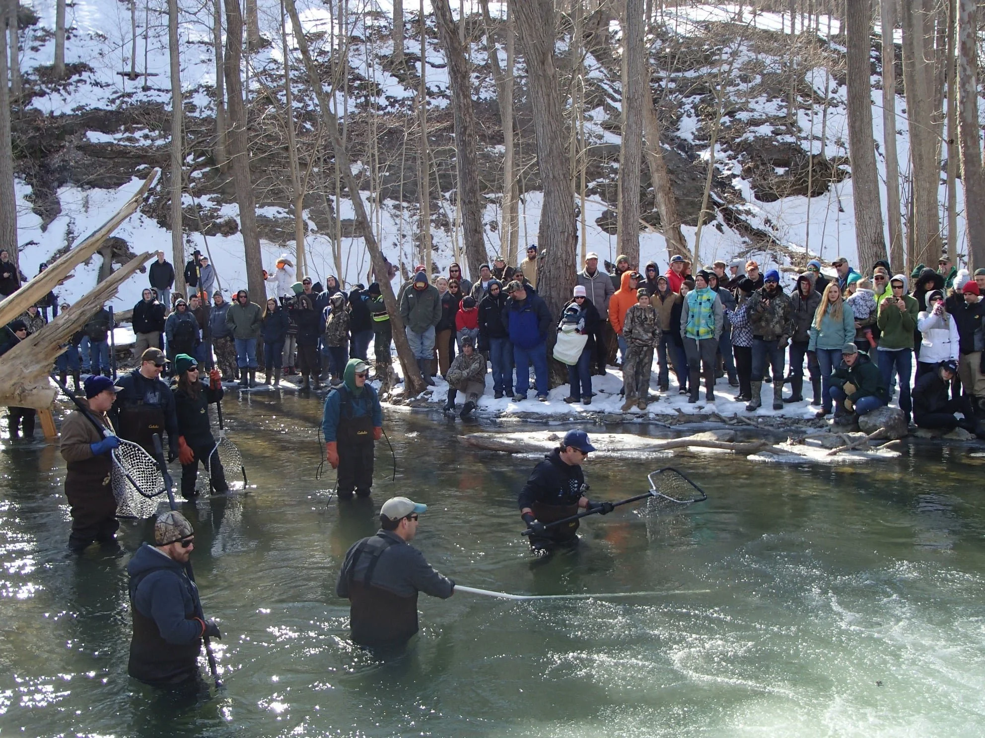 Rainbow Trout Sampling