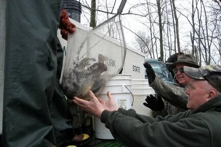 Trout Stocking and Clean up (Copy)