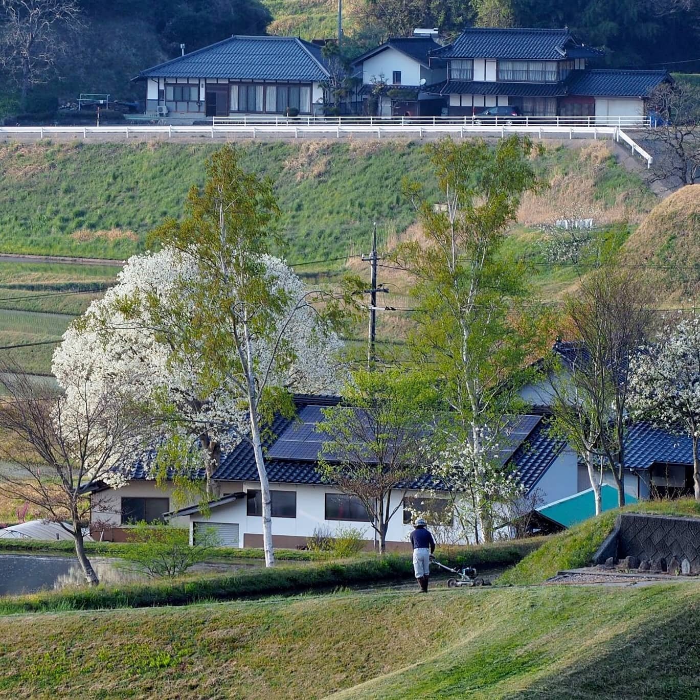 Stay in a restored farmhouse and experience the true Japanese countryside. ⁣
⁣
Located in Hiroshima Prefecture, Shobara is a rural village said to be the burial place of Goddess Izanami. In this small, friendly farming community you can choose from t
