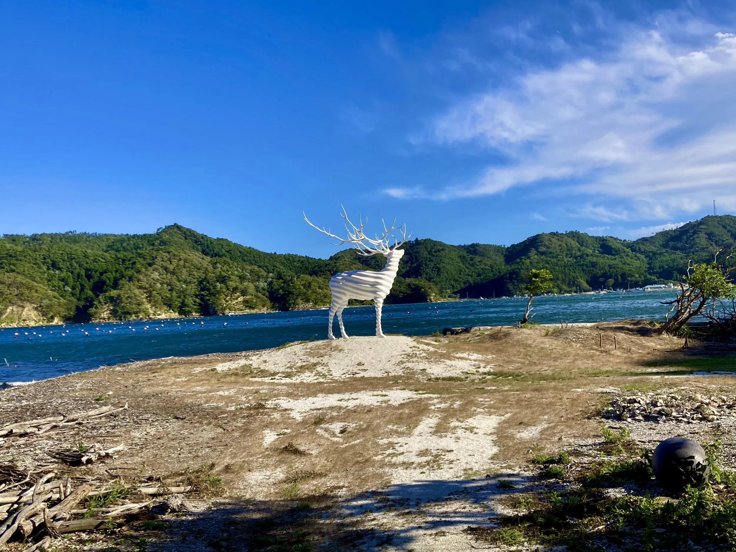  Reborn-Art Festival 2021-22 がスタート