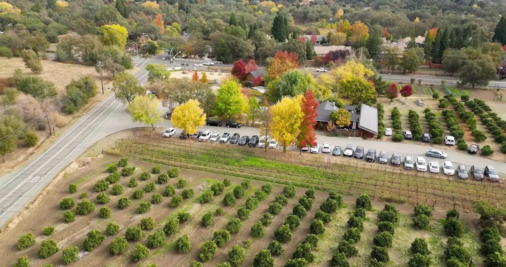 Art Retreat at the Flower Farm