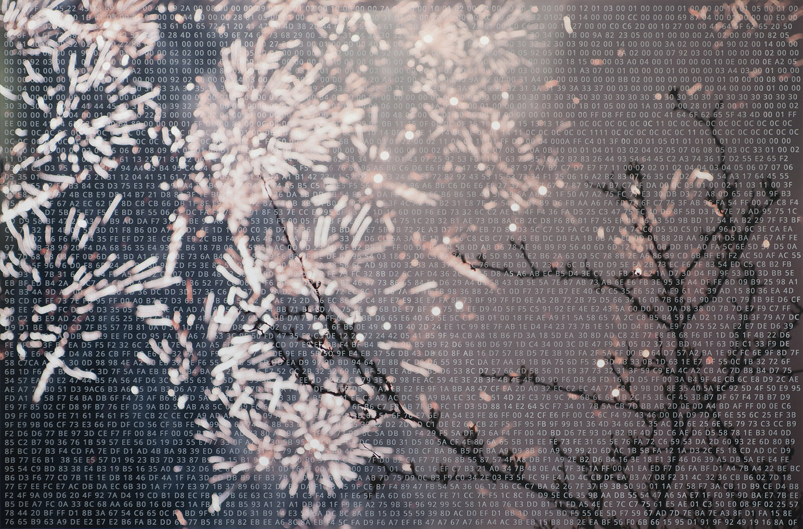 Pyro's Spring Magic, 2014. Acrylic silkscreen on chromogenic print.