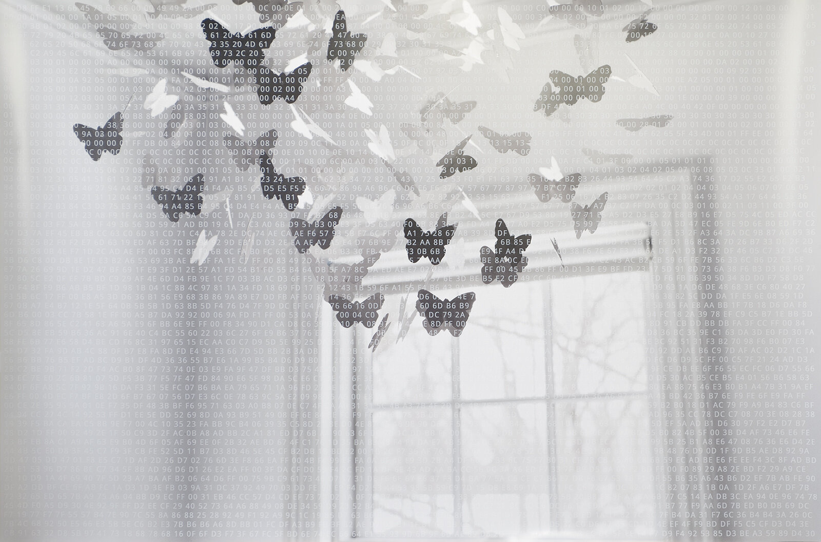 The Stillness of Winter, 2014. Acrylic silkscreen on chromogenic print.