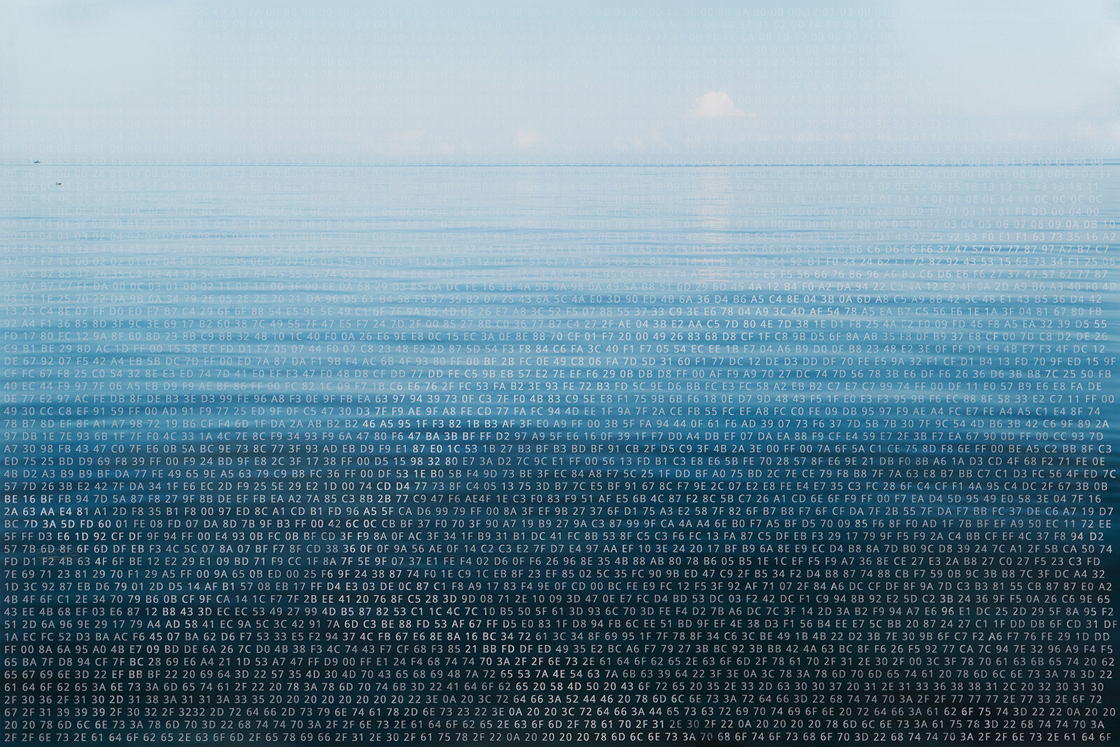 Calm, 2014. Acrylic silkscreen on chromogenic print.