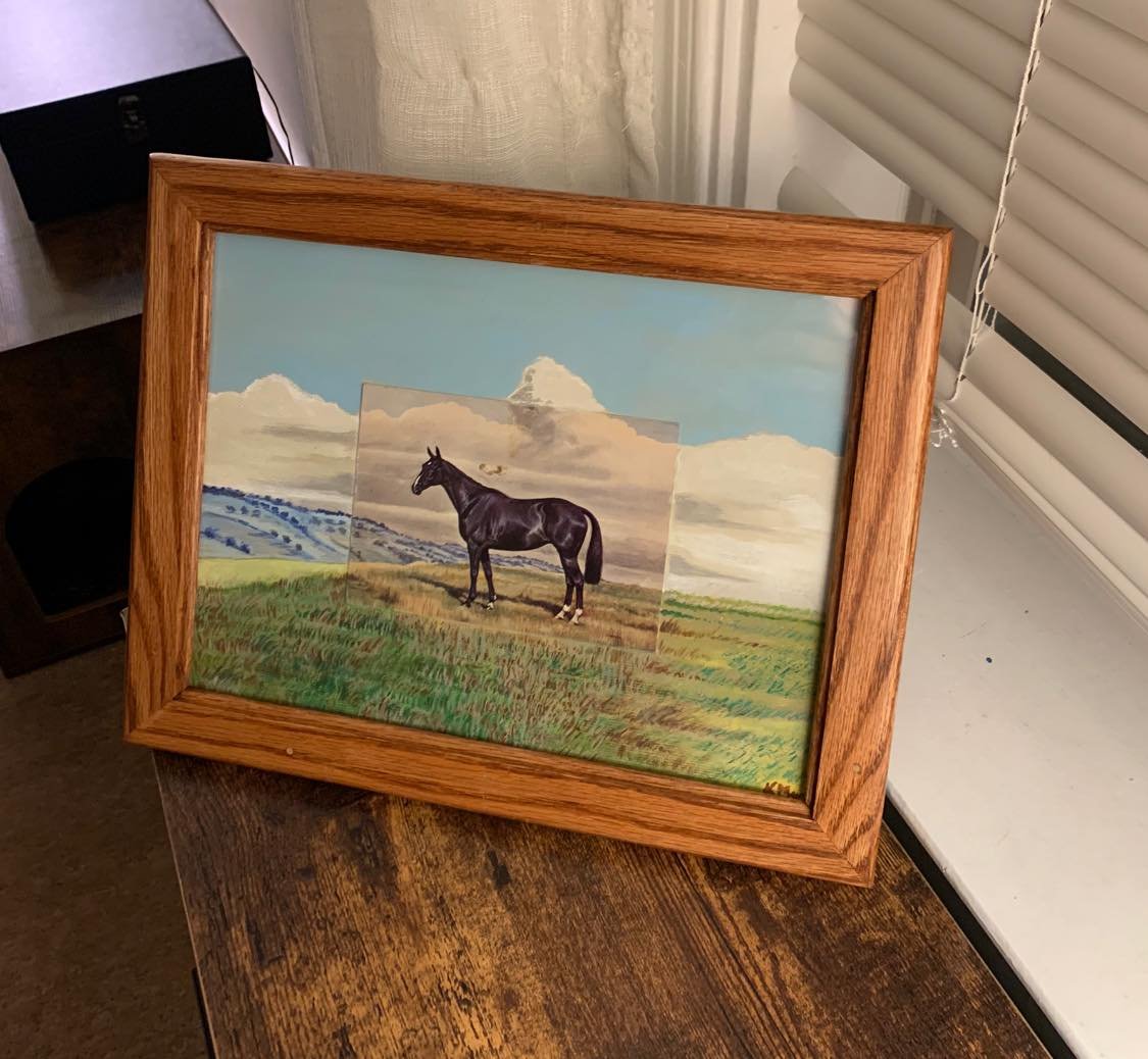 horse2.jpg