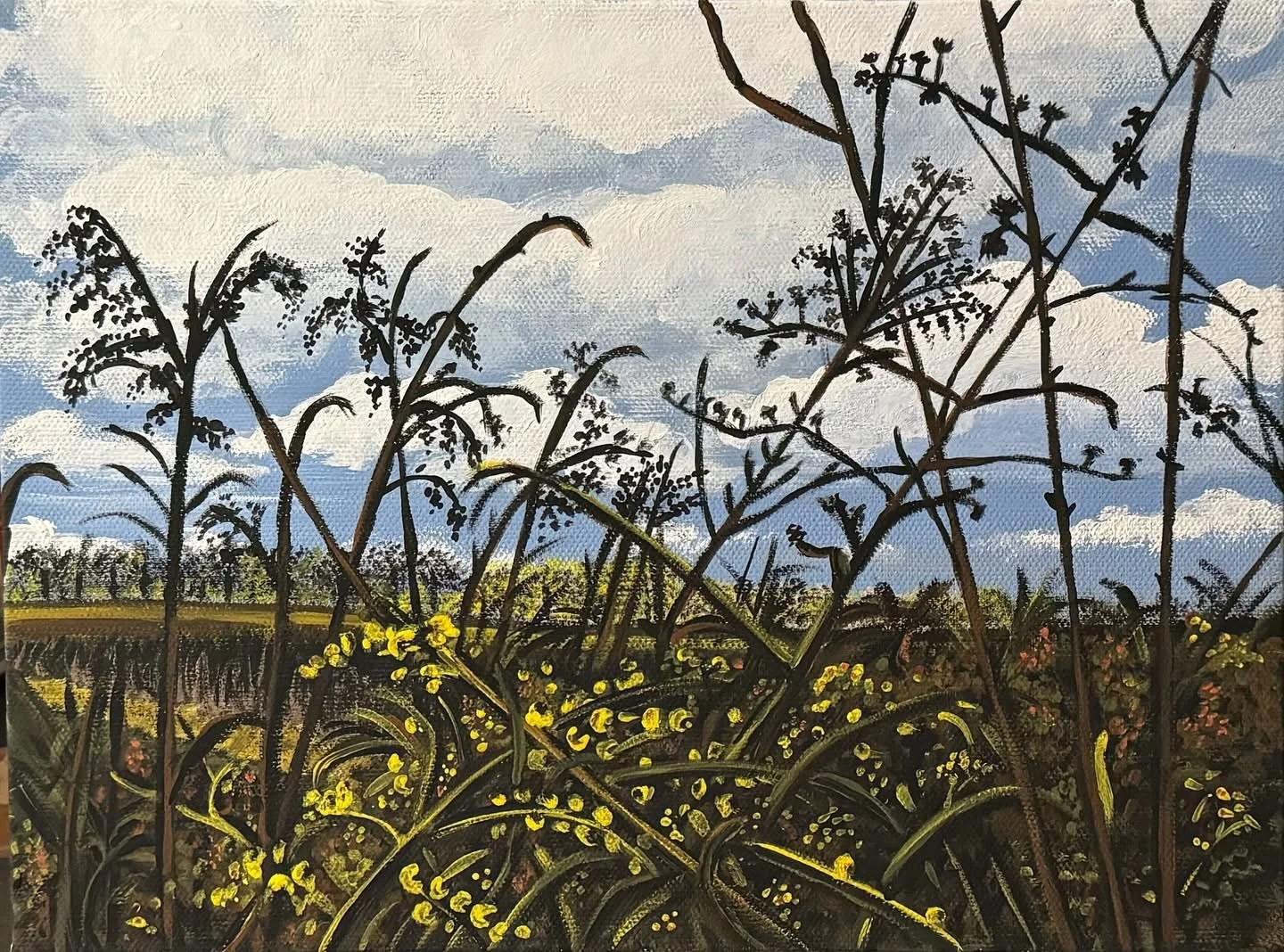 Meadow at Longwood (12x9")