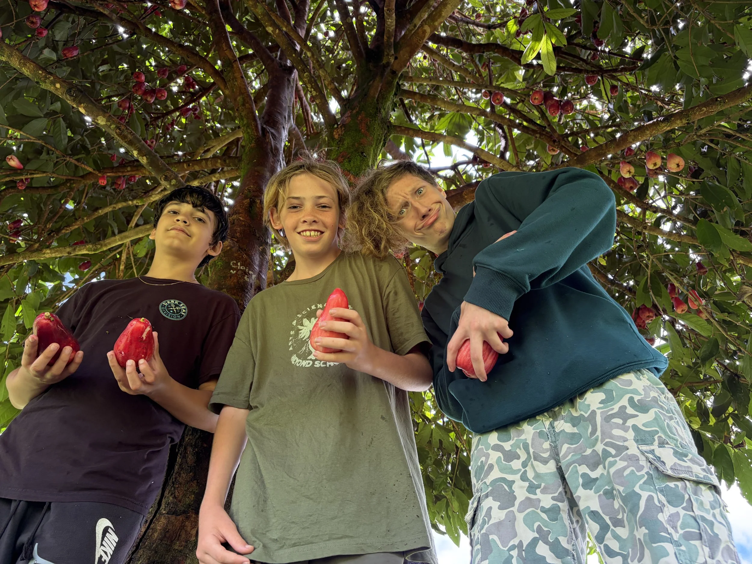 IMG_9192 - P. Mclean Eames.jpeg