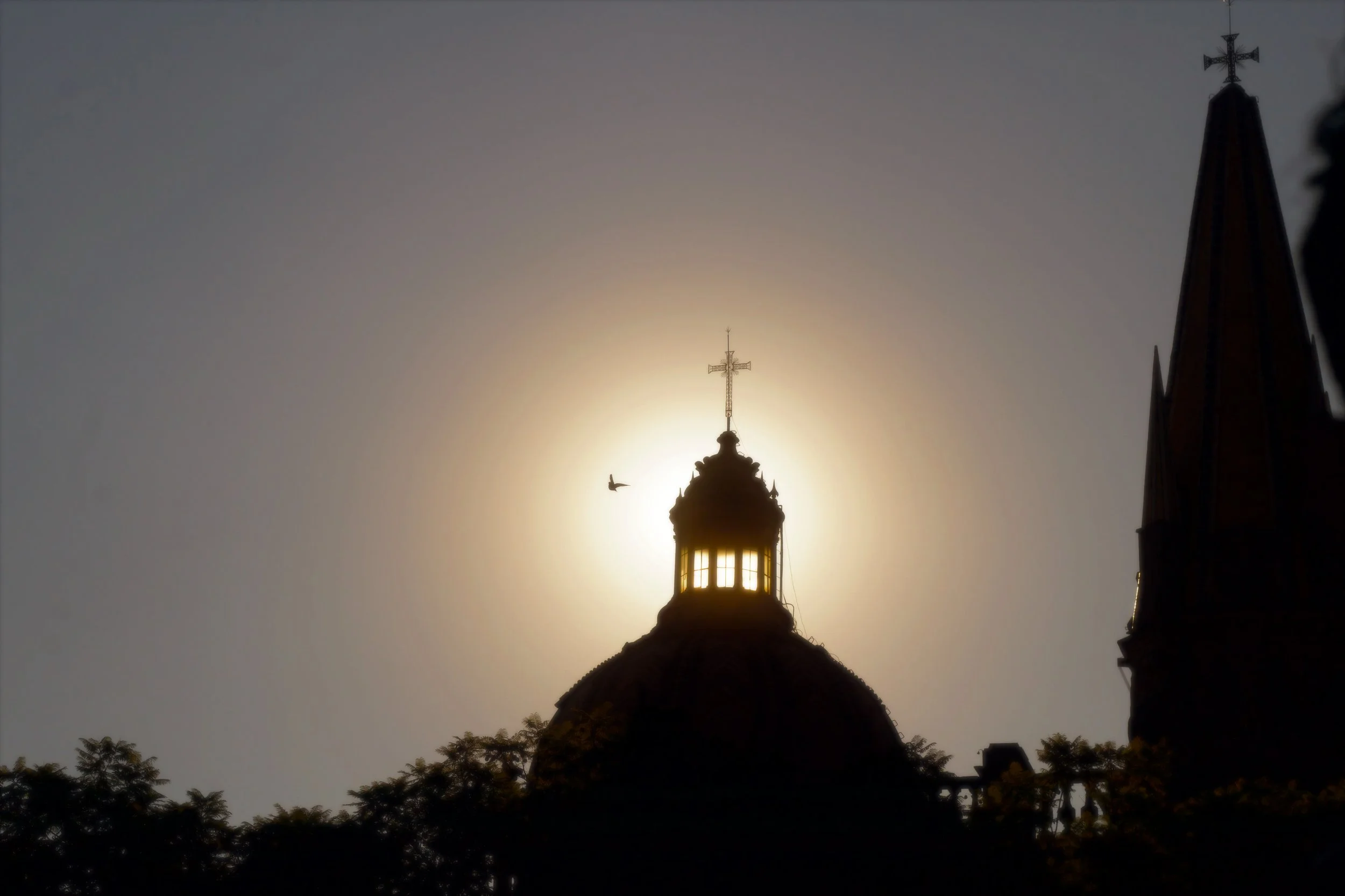 AfterlightImage (30).JPEG