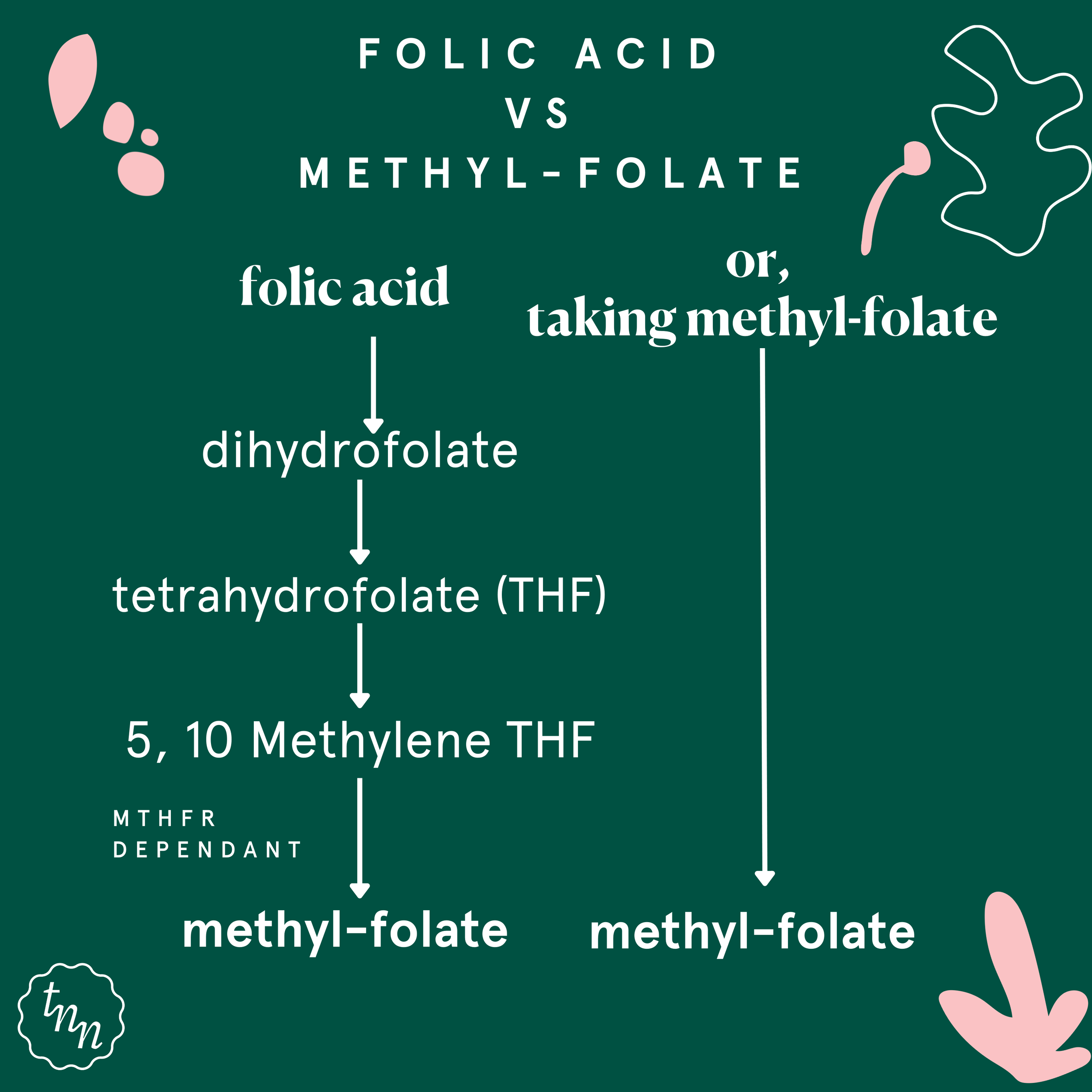 Folic Acid vs MethylFolate why is one better than the other?