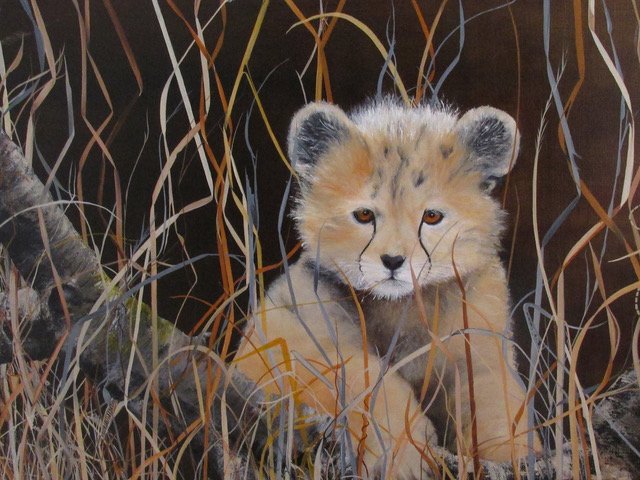Baby Cheetah - 24 x 36.jpeg