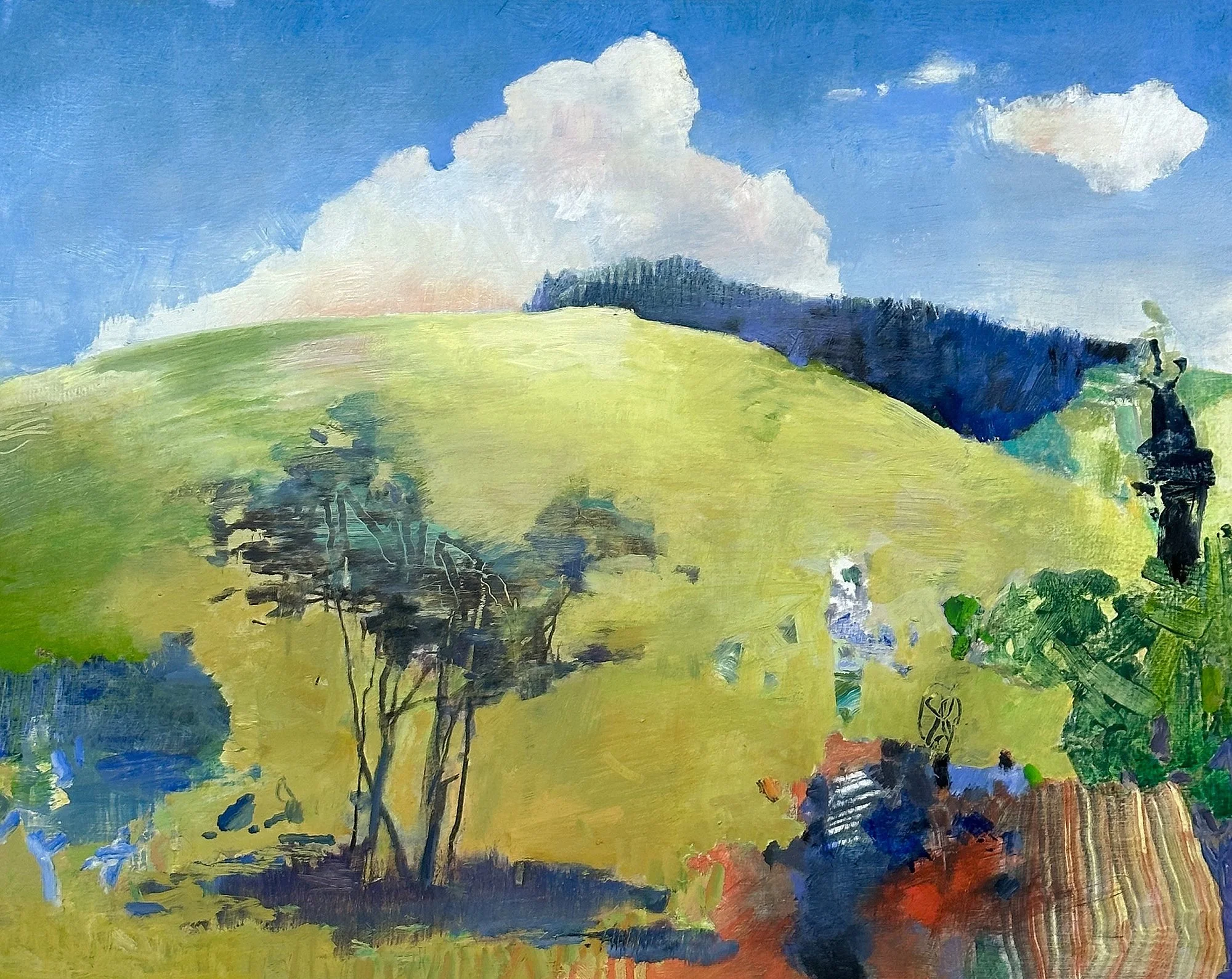 The Dream of Stevens Meadow