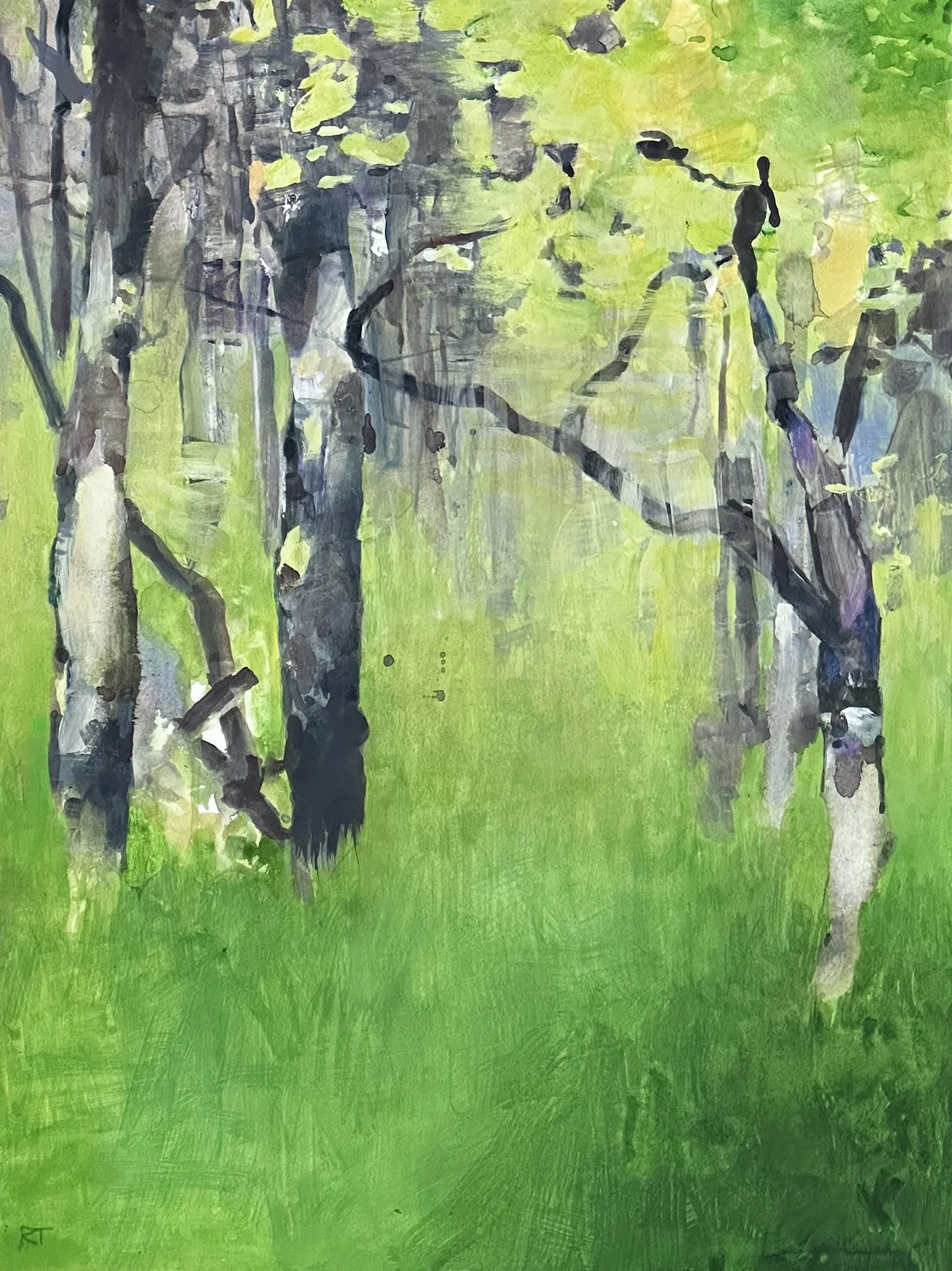 Iron Mountain Spring