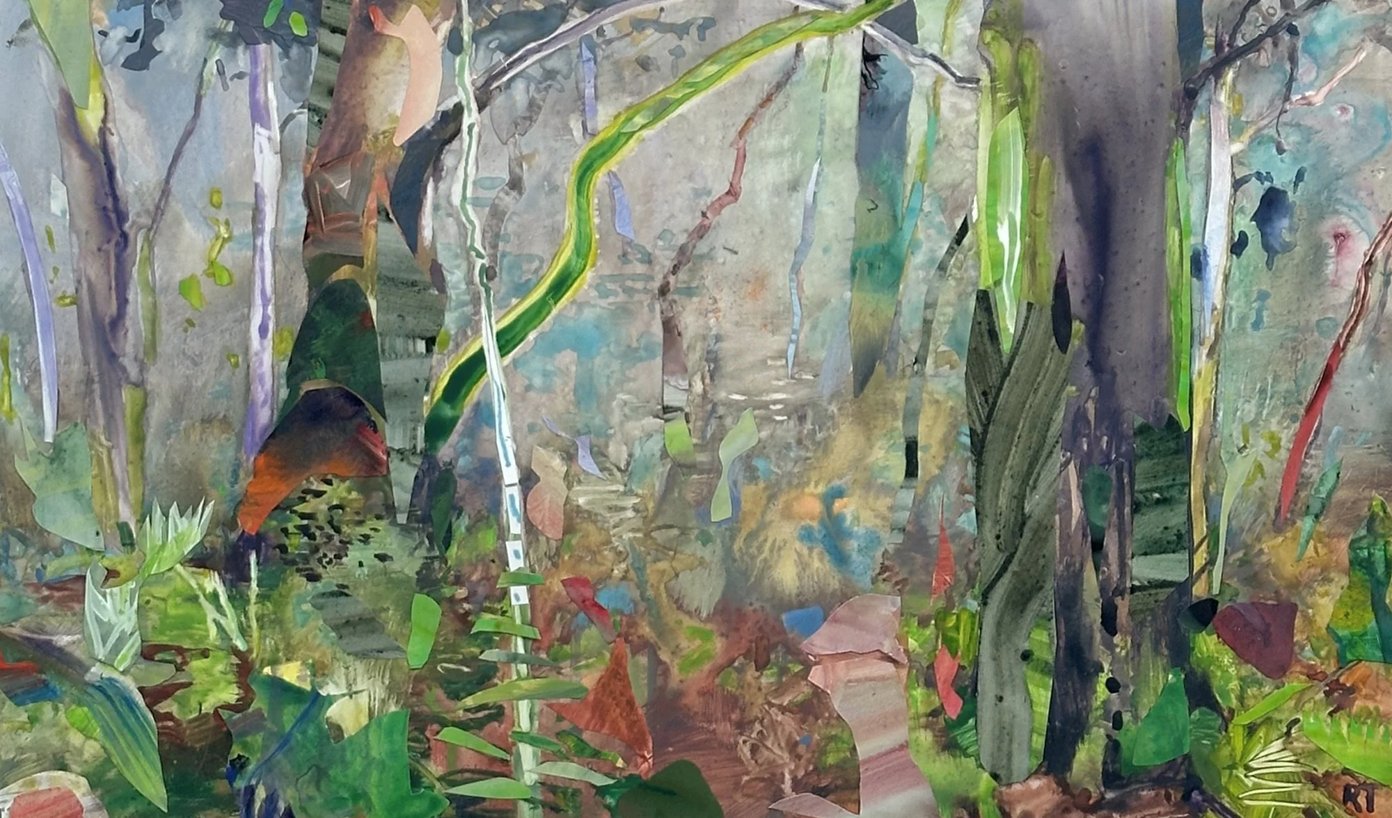 Rainforest Walk