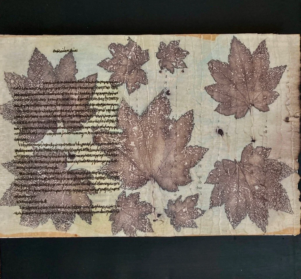 "A Book is a Highly Organized River of Words"