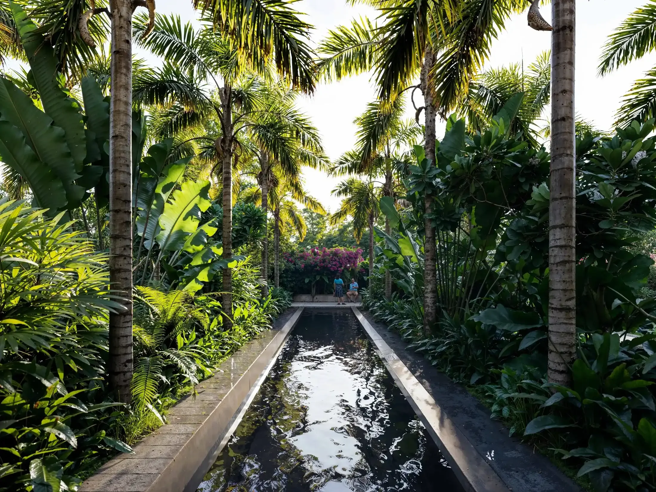 Lake_Botanica_01 .webp