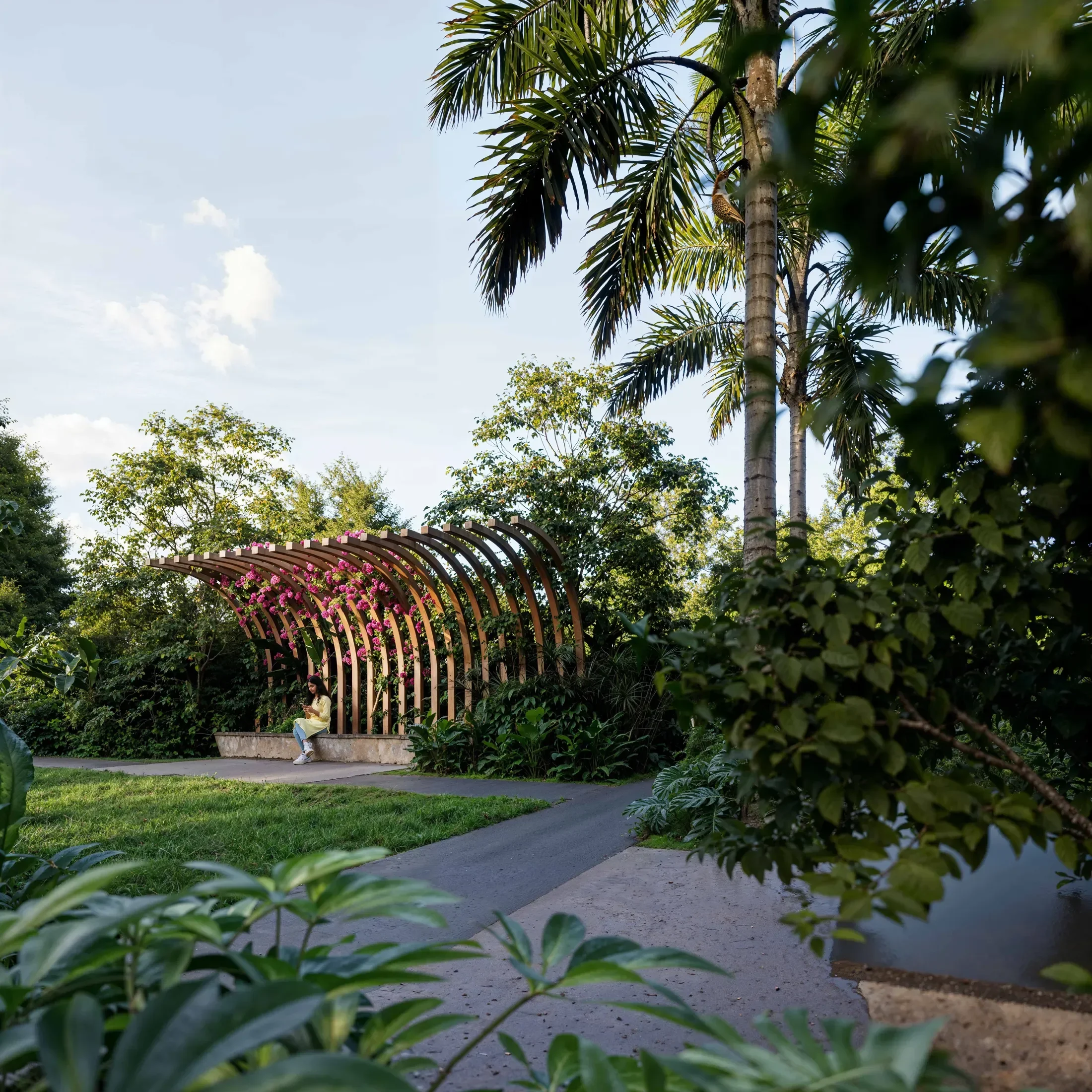 Lake_Botanica_04 .webp