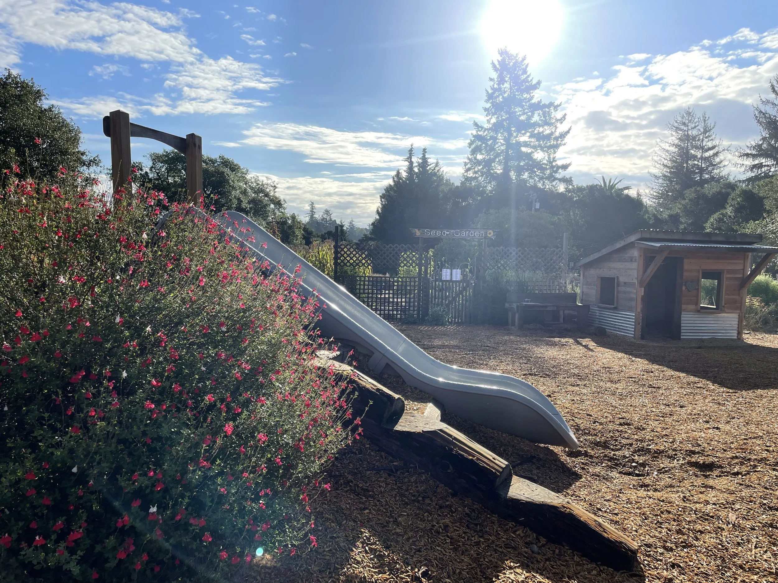 A Parish Story from Sebastapol, CA