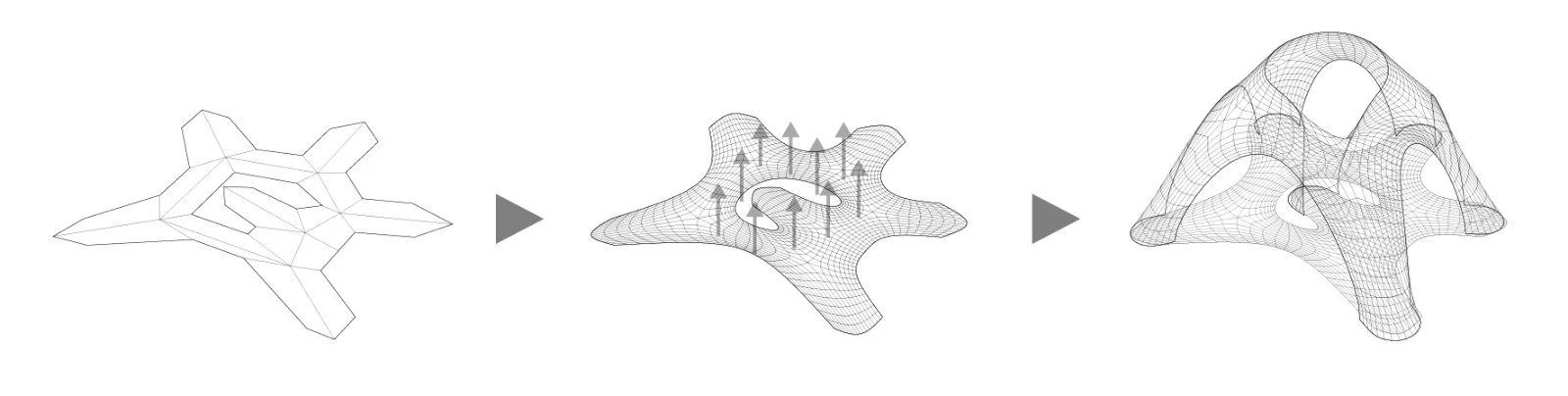 Variable Catenary Rib Shell CATENARY GRID SHELL — PRODUCE