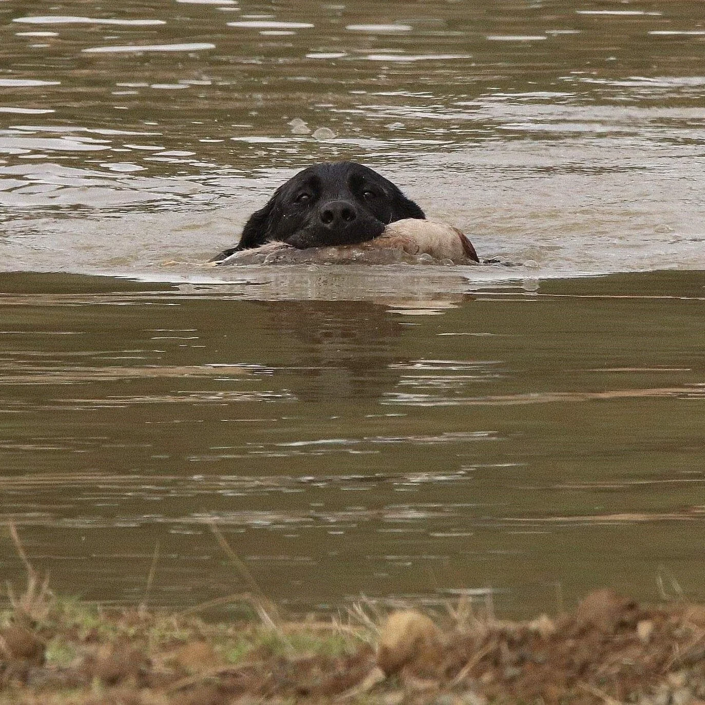 received_2178757439058241 (2).jpeg