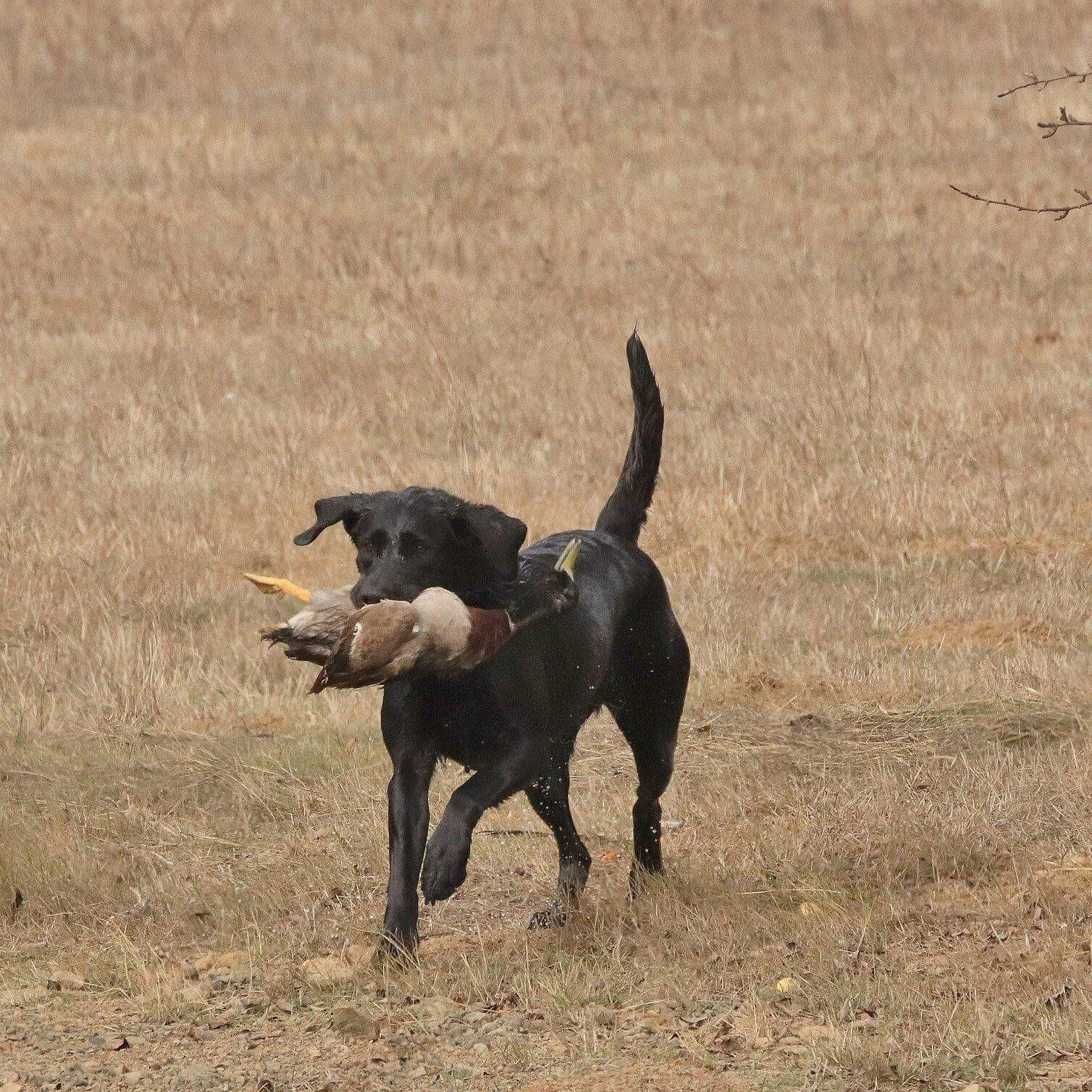 received_531776517284901 (2).jpeg