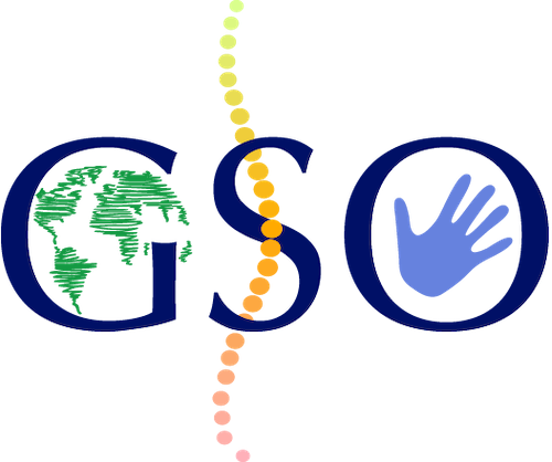 Global_Spine_Outreach.png (Copy)