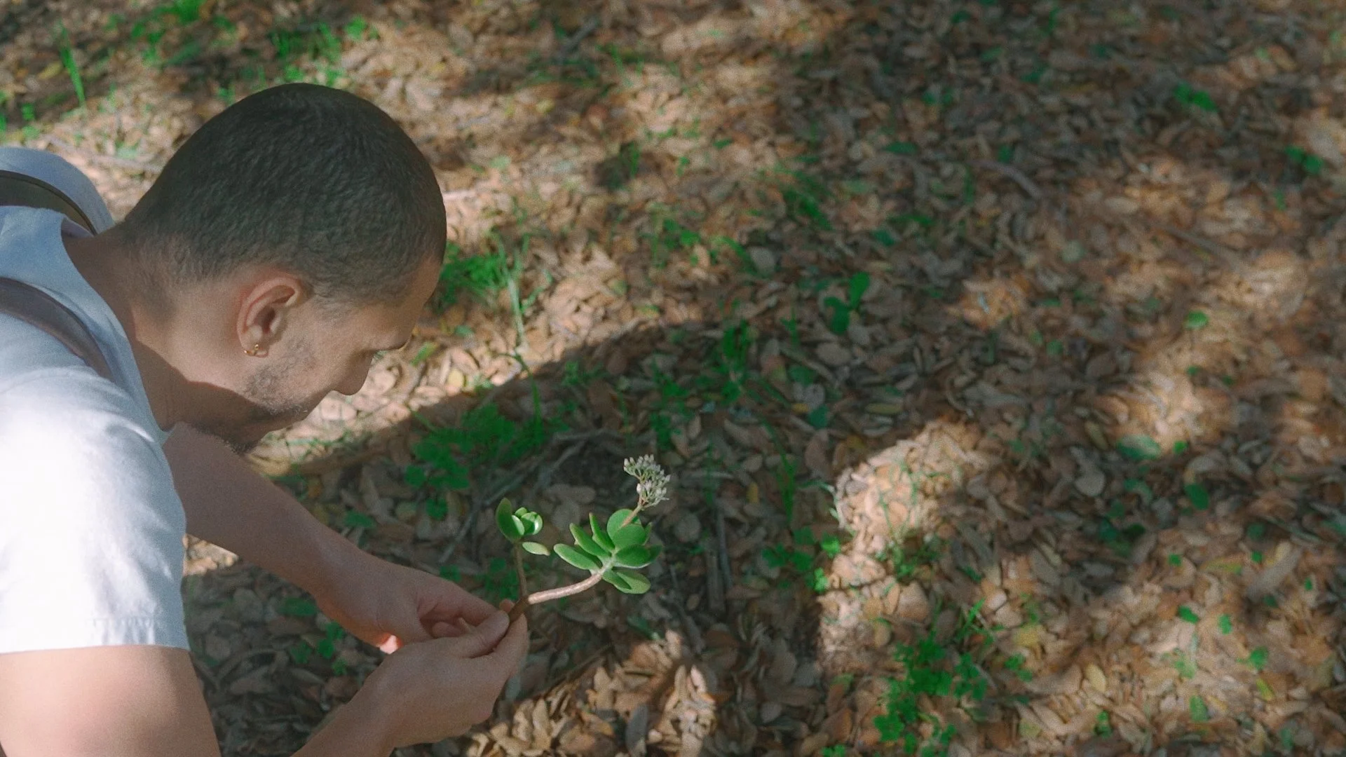 Mungo Baby - Life's a B-Word (Music Video)