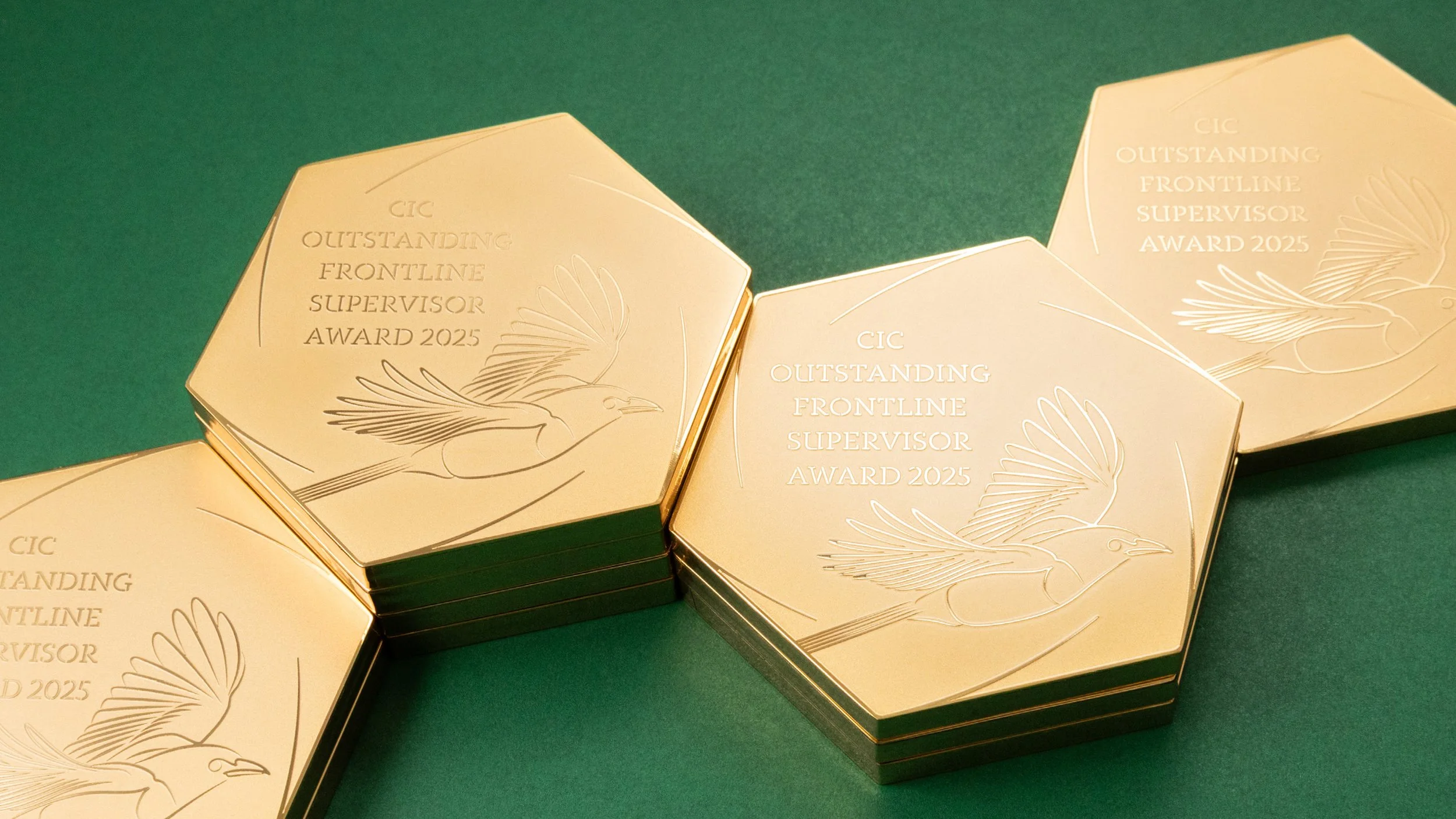 CIC OFS Award 2025