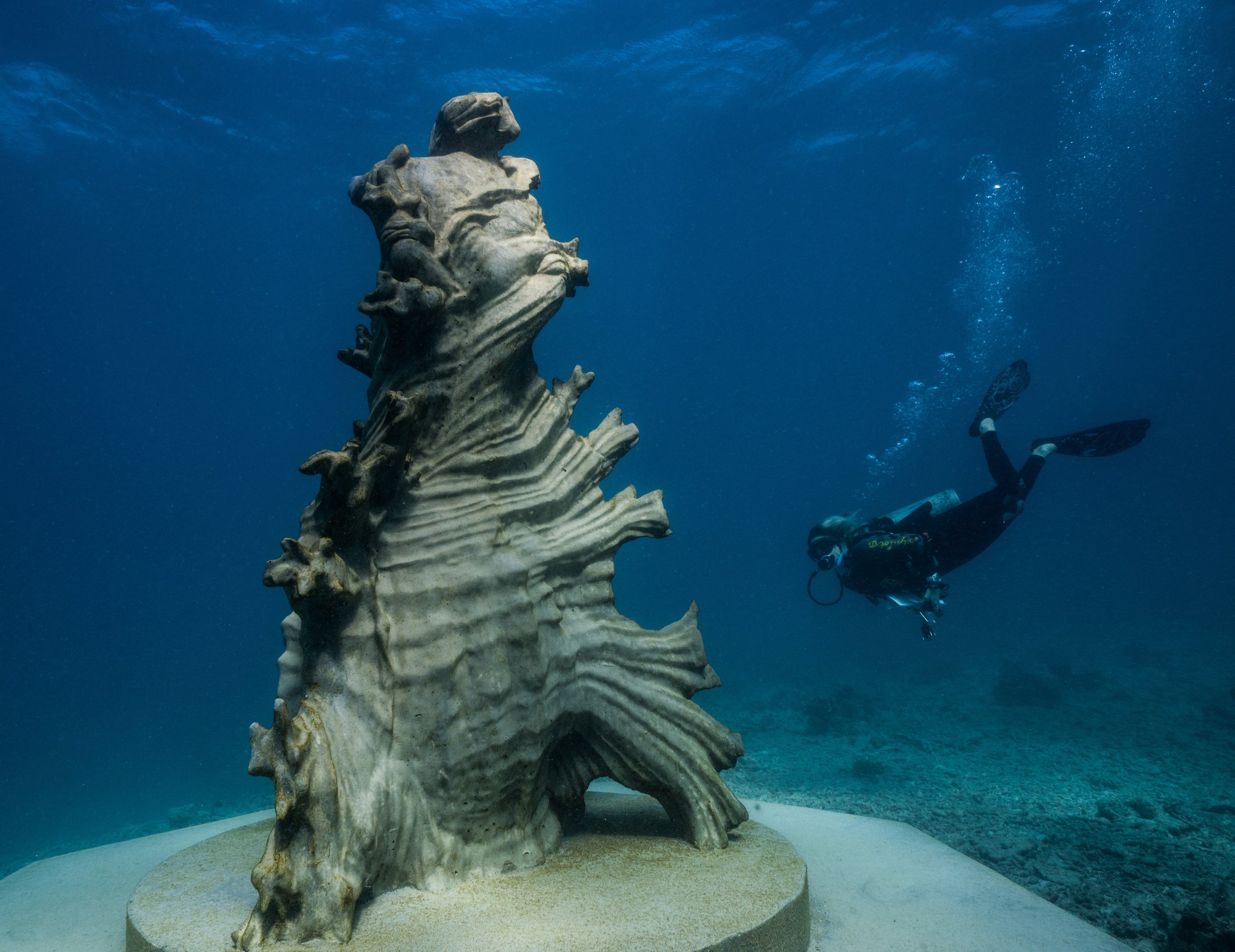 MOUA Ocean sentinels exhibition at ardo