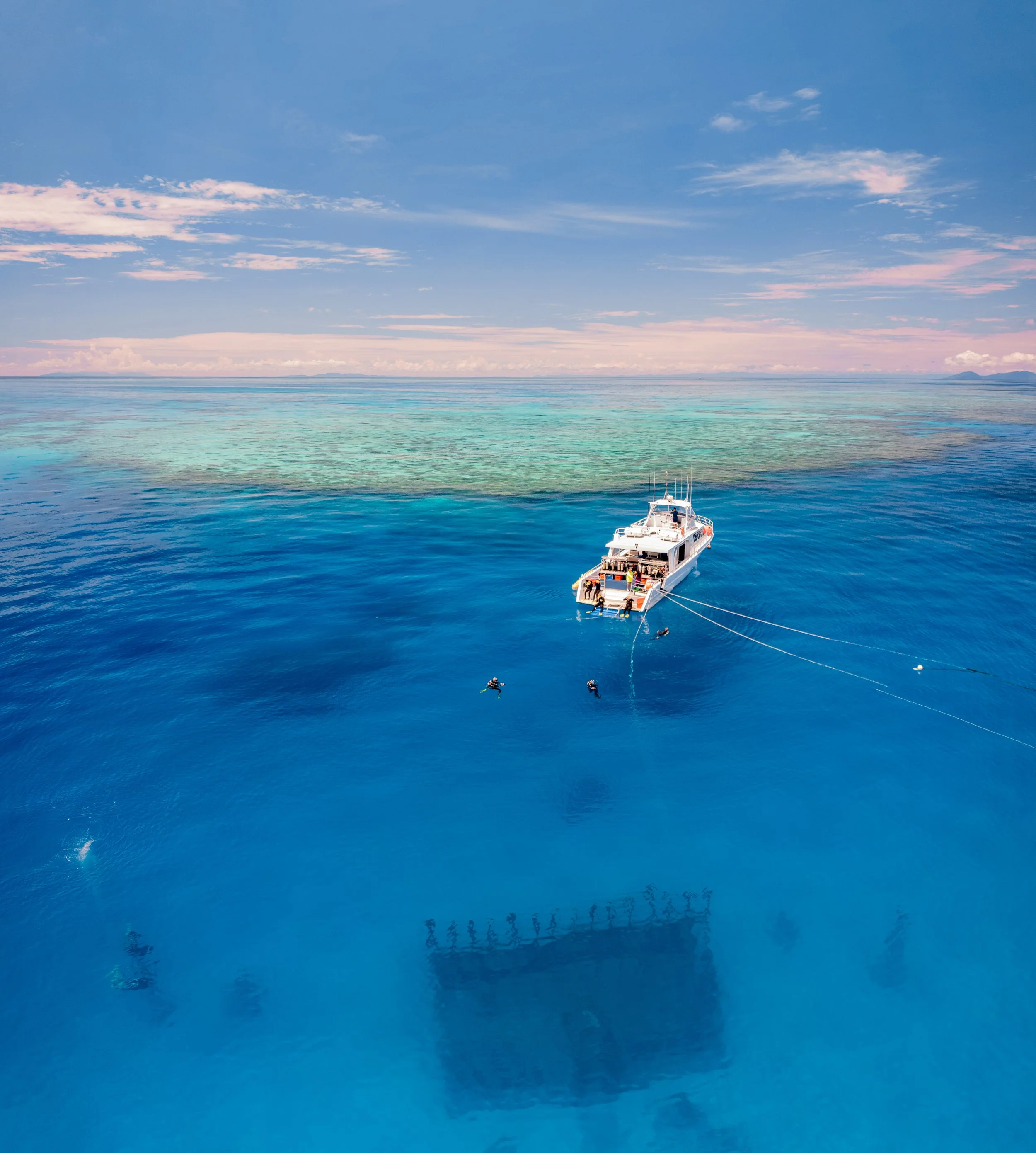 Dive or Snorkel experience at MOUA