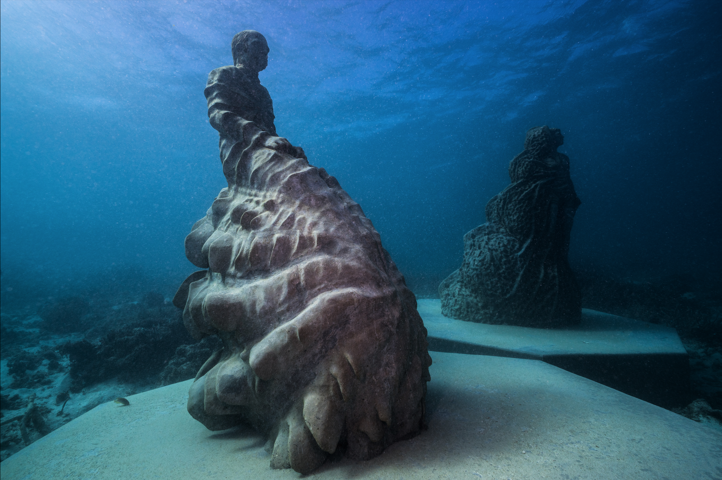 Ocean Film Festival &amp; Panel with Culture Plus