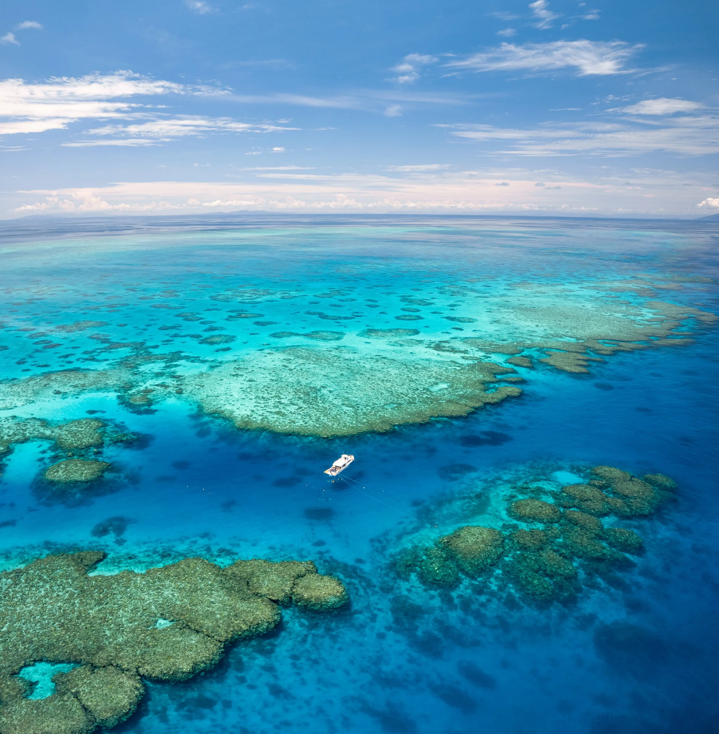 World Ocean Day 2026 - MOUA Experience with Jason decaires taylor
