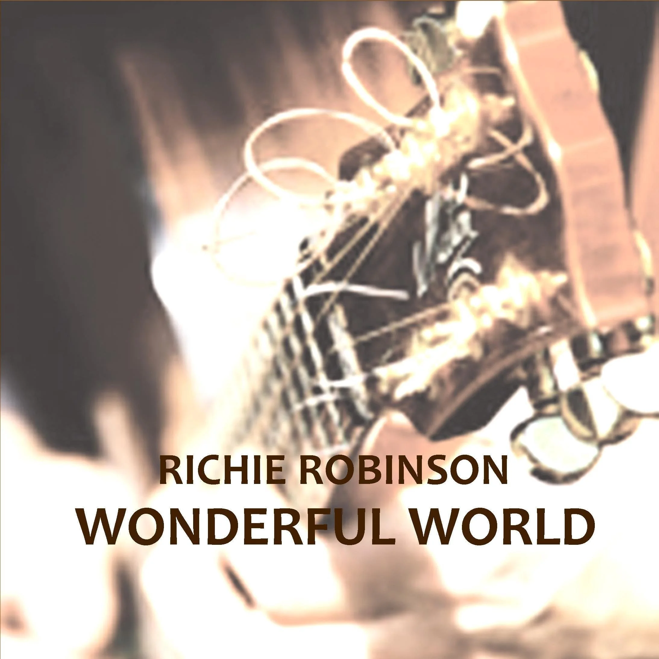 Wonderful World - Richie Robinson