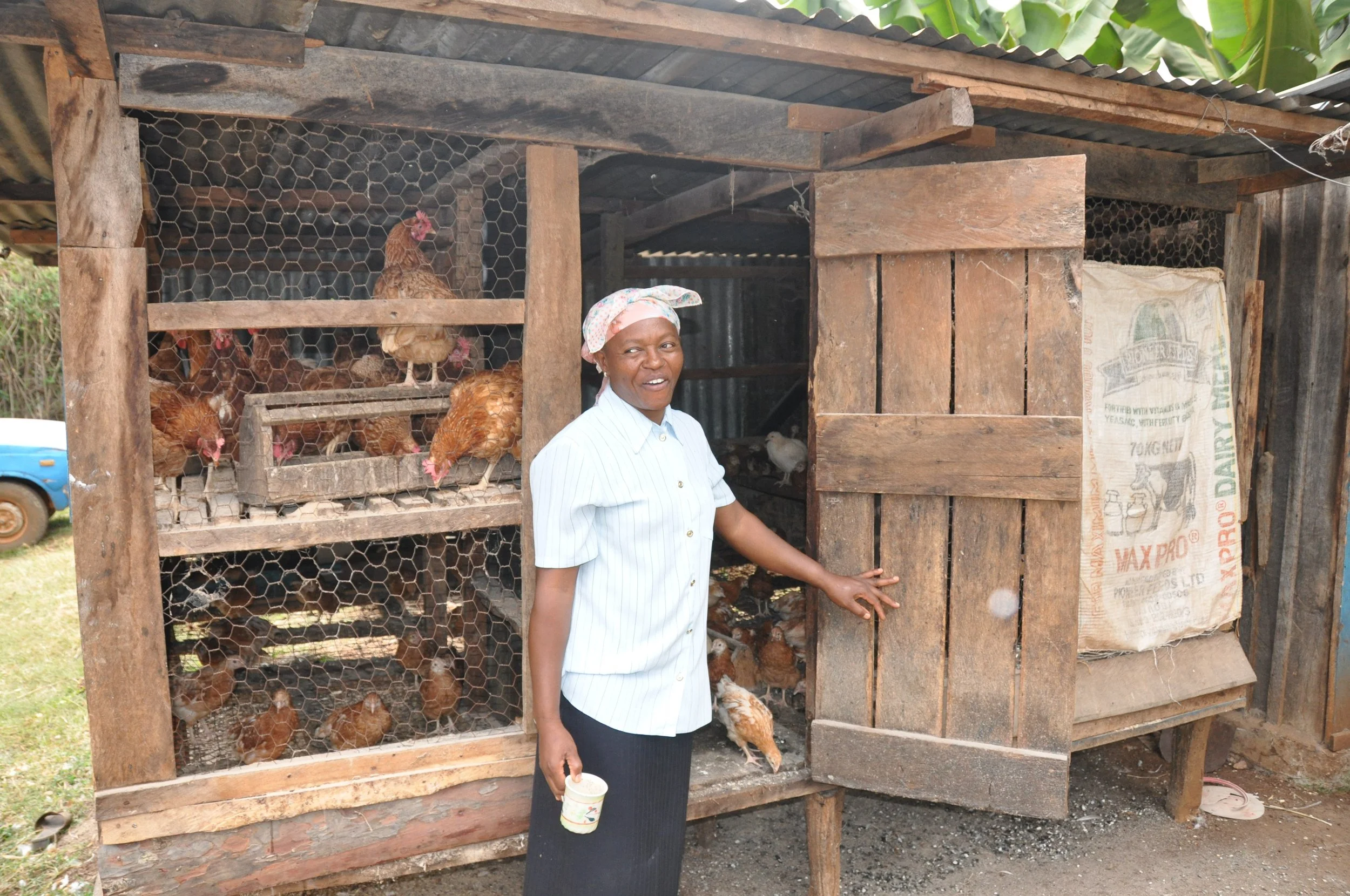 Micro Enterprise client