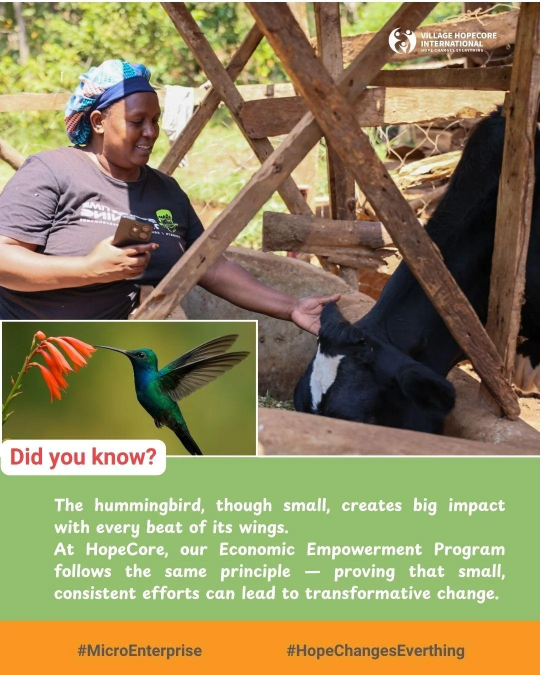 Did you know that the hummingbird, though small, makes an enormous impact? 

With every tiny flap of its wings, it spreads life, color, and renewal across the environment. It reminds us that persistence, no matter how small the steps, creates ripples